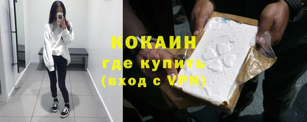 ECSTASY Майский