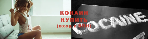 a pvp Аркадак