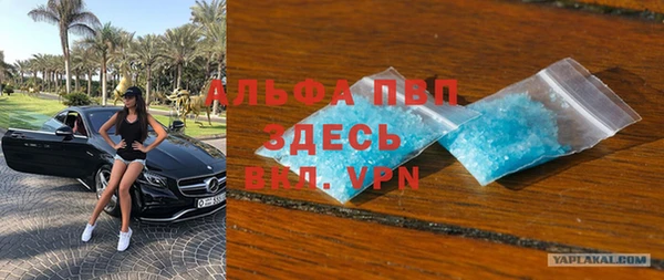 a pvp Аркадак